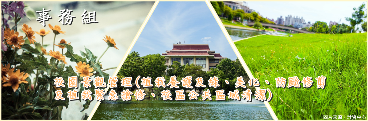 校園景觀樹木修剪